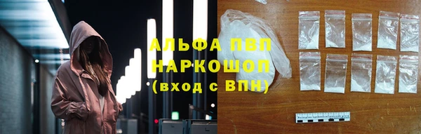 гидра Алексин