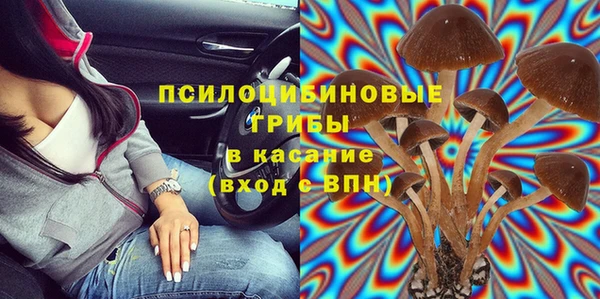 круглые Алзамай