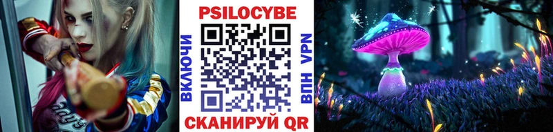 Галлюциногенные грибы Psilocybe  blacksprut ссылка  Бодайбо 