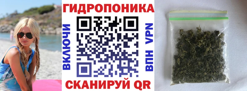 Бошки марихуана план  Бодайбо 